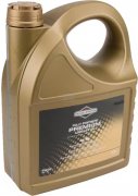 BRIGGS AND STRATTON motorový olej PREMIUM 5W-30 - 5l
