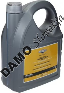 BRIGGS AND STRATTON Motorový olej 15W-50 - 5l