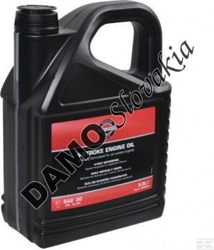 BRIGGS AND STRATTON motorový olej SAE 30 - 5l