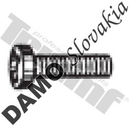 Skrutka M 4 x 10 mm polguľatá PH