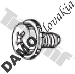 Skrutka M 5 x 9,0 mm polguľatá PH