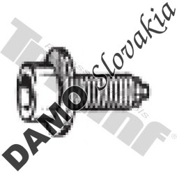 Skrutka M 6 x 13,0 mm s podložkou
