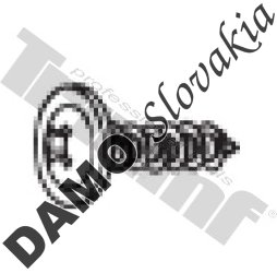 Skrutka samorezná 5,0 x 24,0 mm PH