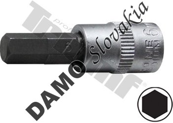 Bit Inbus v 1/4" hlavici 6 mm