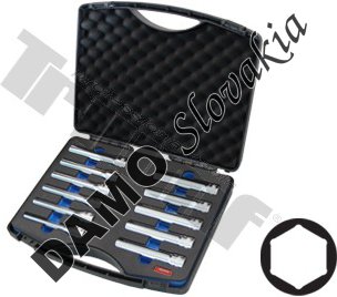 Sada extra predĺžených hlavíc SW 1/2" vstup, 11-dielna