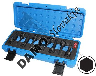 Sada kovaných inbus bitov, 1/2" vstup, 9 - dielna