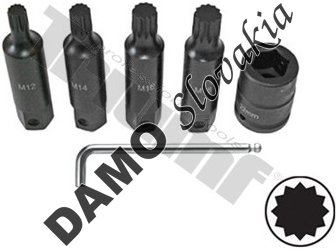 Sada kovaných XZN bitov s 3/4" adaptérom, 1/2" vstup, 6 - dielna