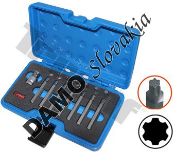 Sada bitov Torx plus, 10 mm driek, 15-dielna s adaptérom.