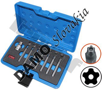 Sada bitov Torx 5-cípy  vŕtaný, 10 mm driek, 15-dielna s adaptérom.