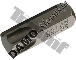 Bit Torx nevŕtaný, 10 mm driek, dĺžka 30 mm T60