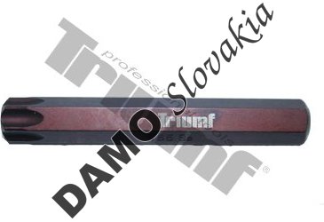 Bit Torx nevŕtaný, 10 mm driek, dĺžka 75 mm T60