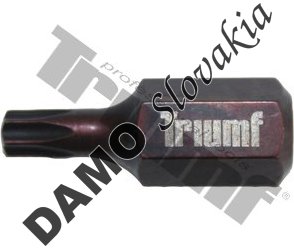 Bit Torx nevŕtaný, 10 mm driek, dĺžka 30 mm T27