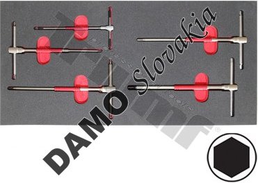 Modul T kľúčov s otočným driekom, profil inbus, 5 dielny