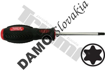 Skrutkovač  Torx - nevŕtaný T25 x 100 mm