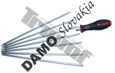 Skrutkovač s vymeniteľnými bitmi Torx a TS (5 - cípy profil)